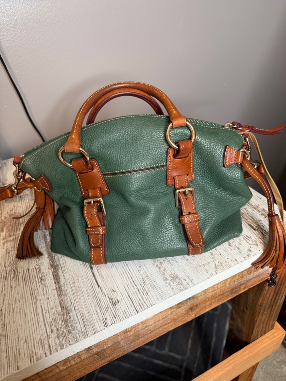 Dooney & Bourke Green Pebble Leather Satchel with Brown Trim and Tassel - Picture 2 of 9